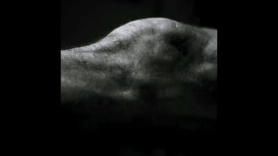 The body check