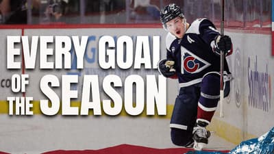 342 Colorado Avalanche Goals to Chill/Study to 📚