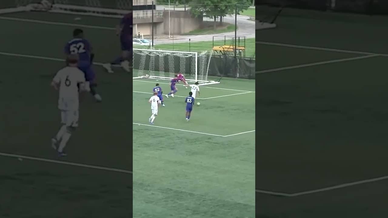Absolute SCENES from Carlos Zambrano with the GAME WINNER 🔥🔥#NERevsII