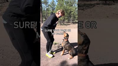 Sky is the best run buddy 🥰 #dog #marathon #running