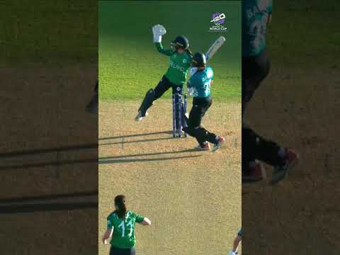 Even the commentators got excited after Suzie Bates unleashed a brilliant reverse 😅 #T20WorldCup