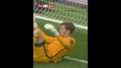 Premier League Highlights | Everton FC 1 - 3 Sunderland AFC