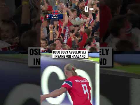 A goal 28 years in the making for these Norwegian fans ๐ณ๐ด