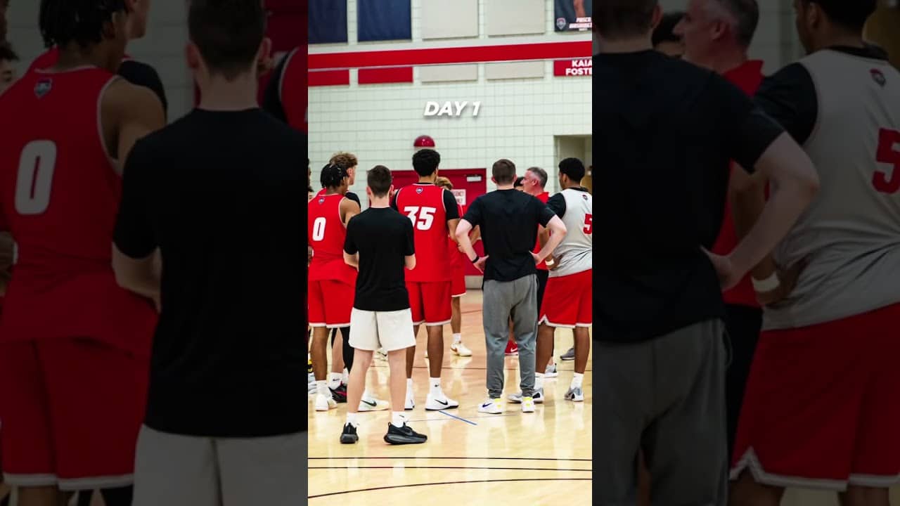Olen, Lobos Back to work #golobos